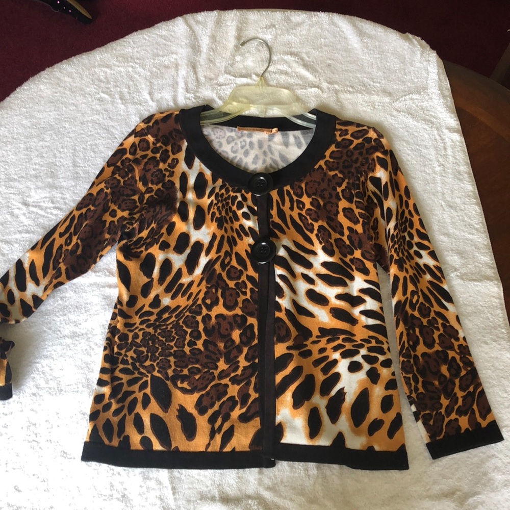 Cheetah print sweater